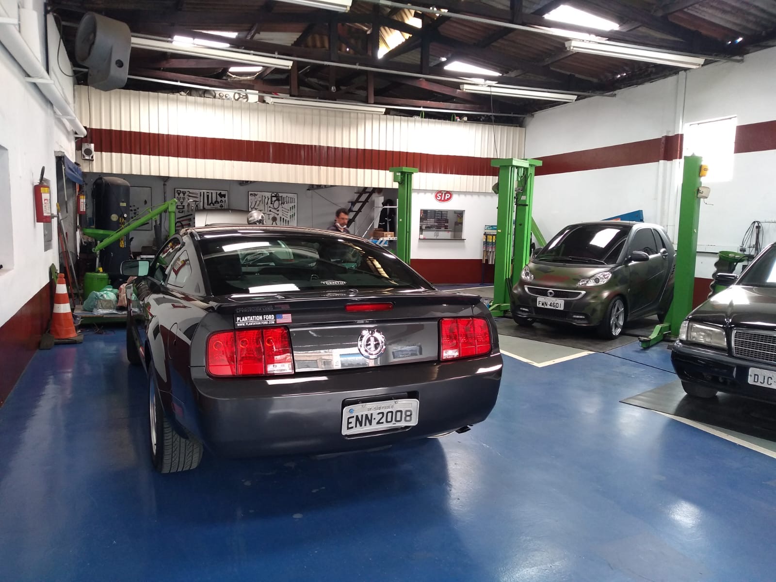 Mustang